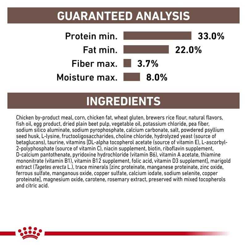 Kitten Dry Cat Food U40401