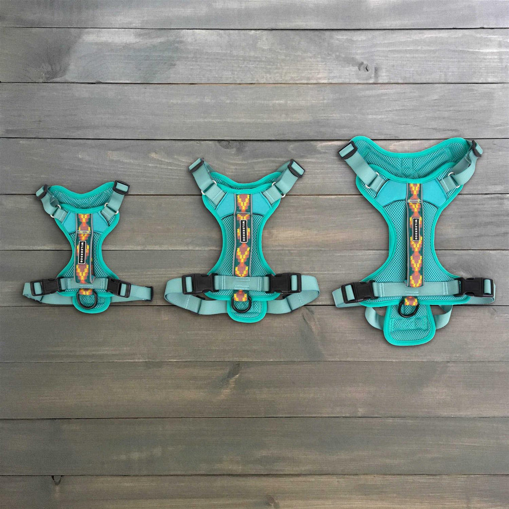 Harness L15961