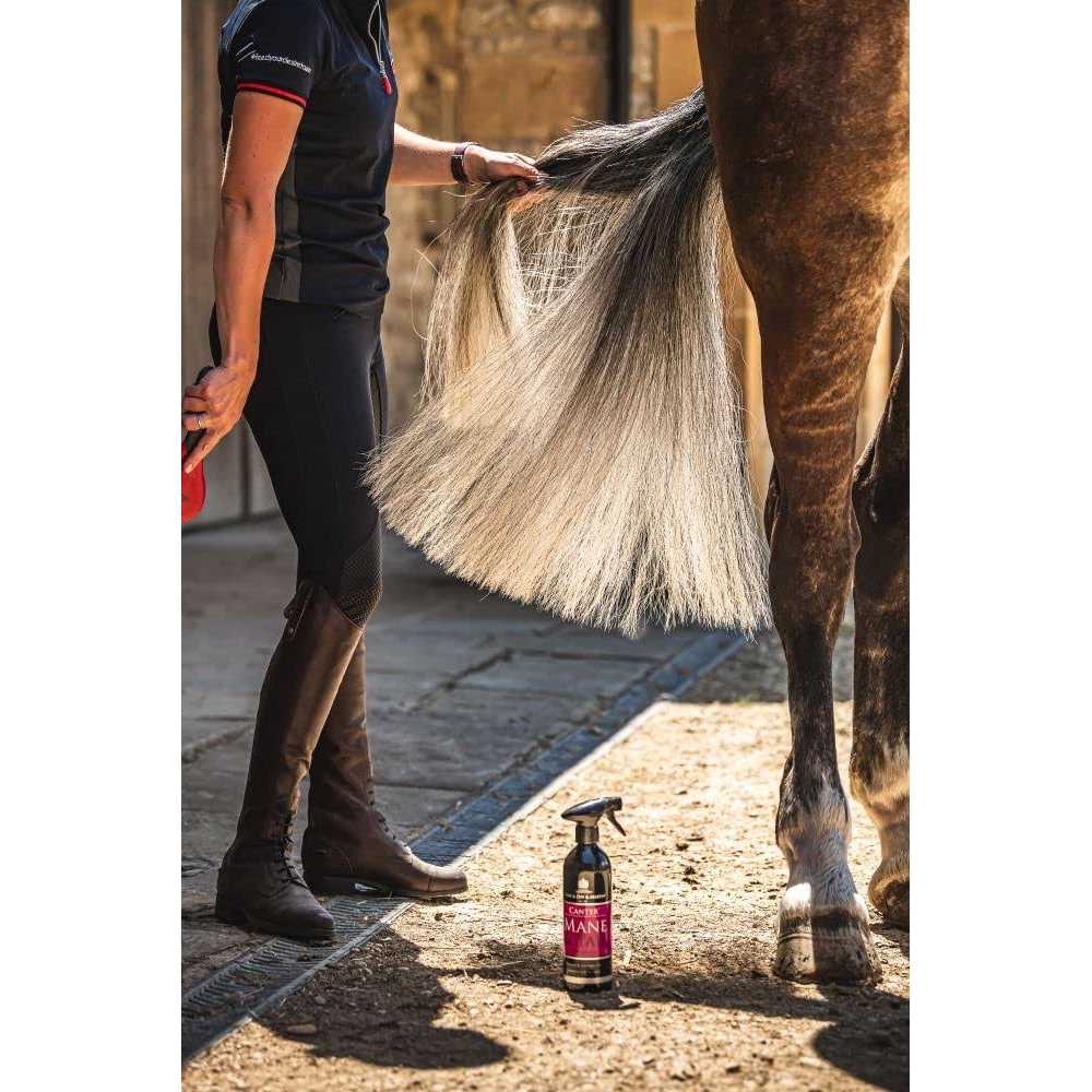 Mane & Tail Conditioner N21076