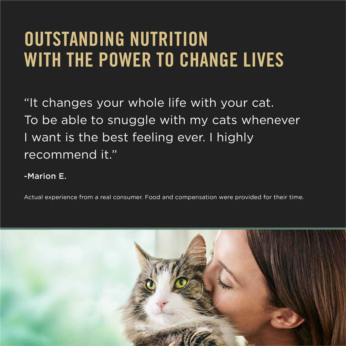 Chicken & Rice Dry Cat Food K3980