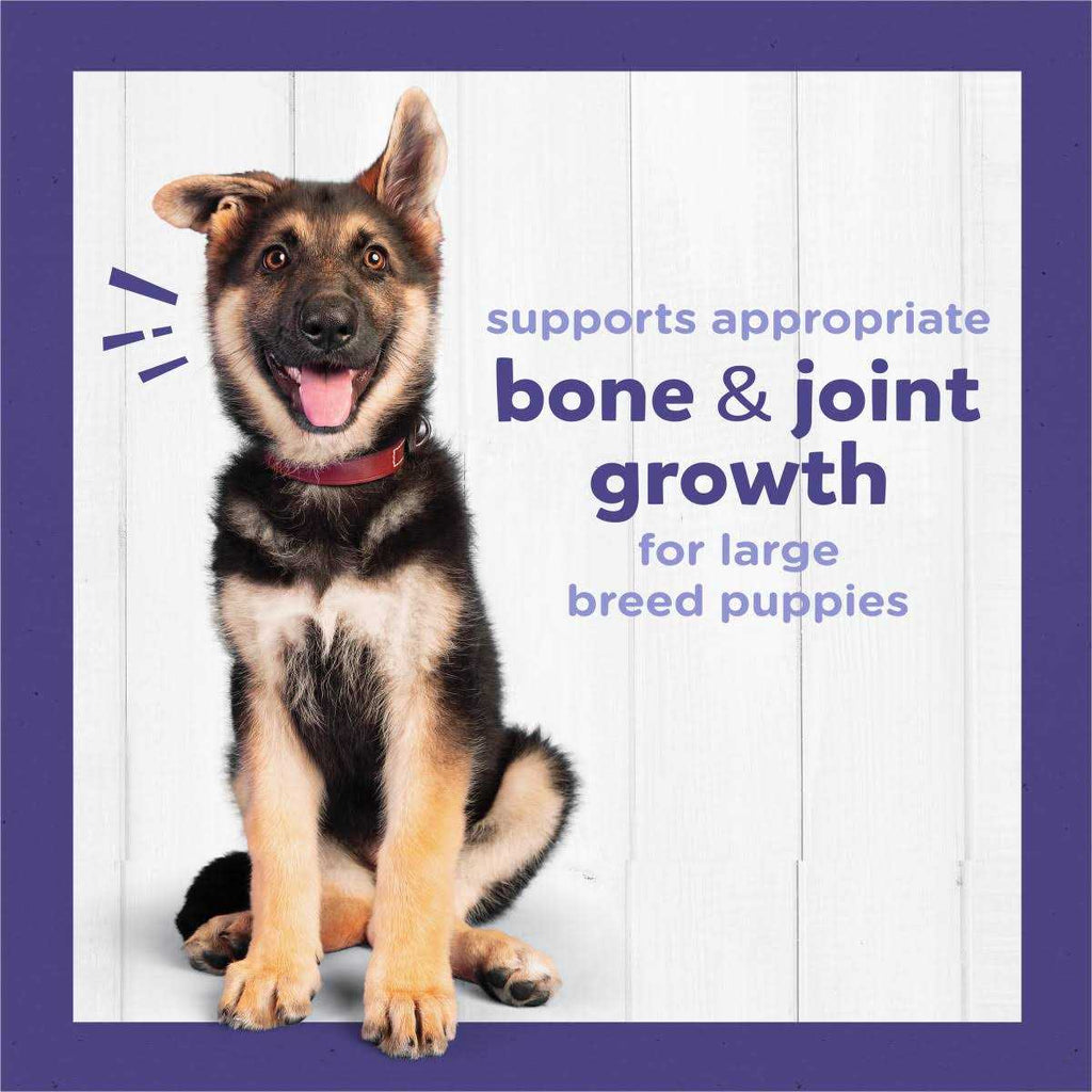 High Protein Large Breed Dry Puppy Food with Real Chicken F921