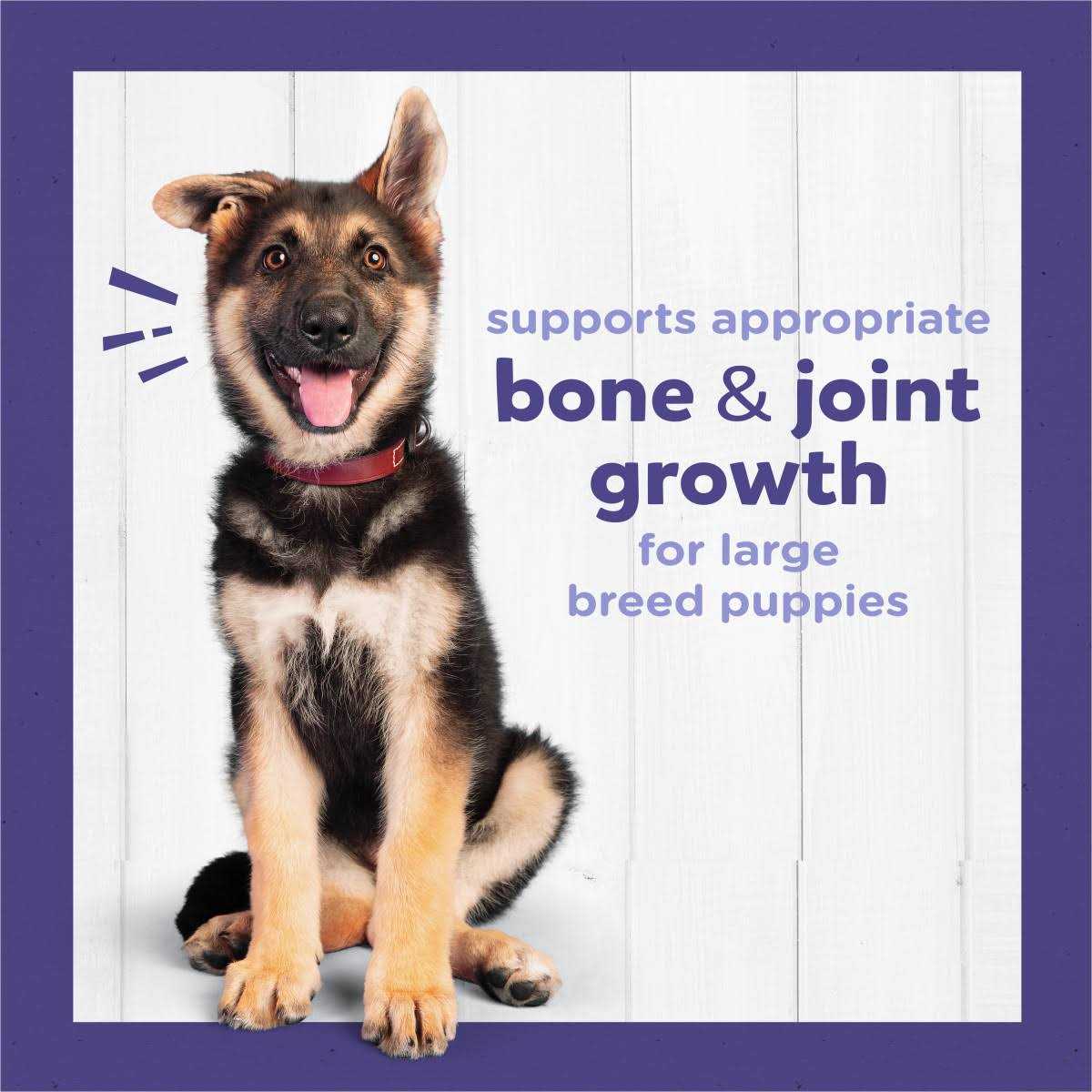 High Protein Large Breed Dry Puppy Food with Real Chicken F921