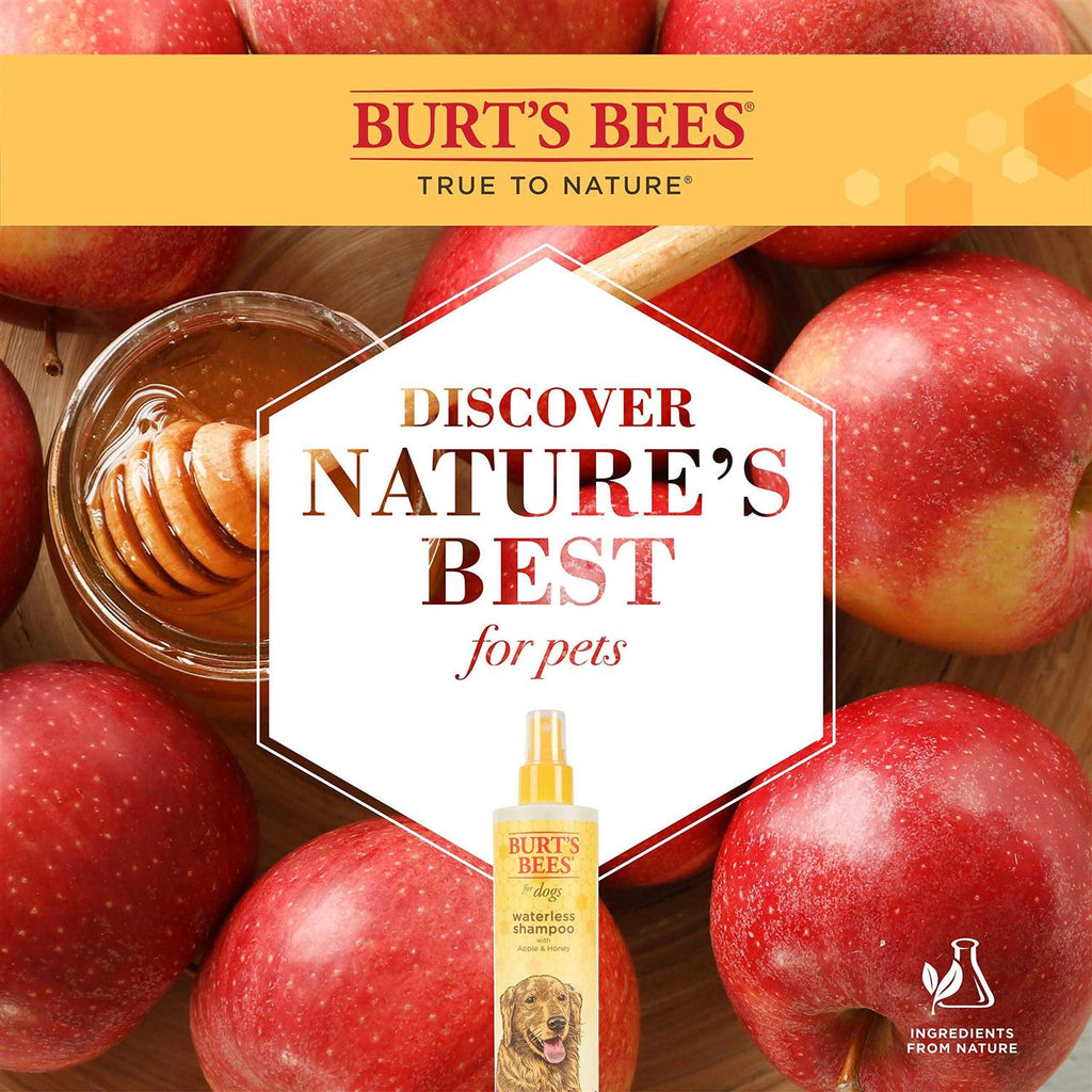 Waterless Shampoo with Apple & Honey D643303