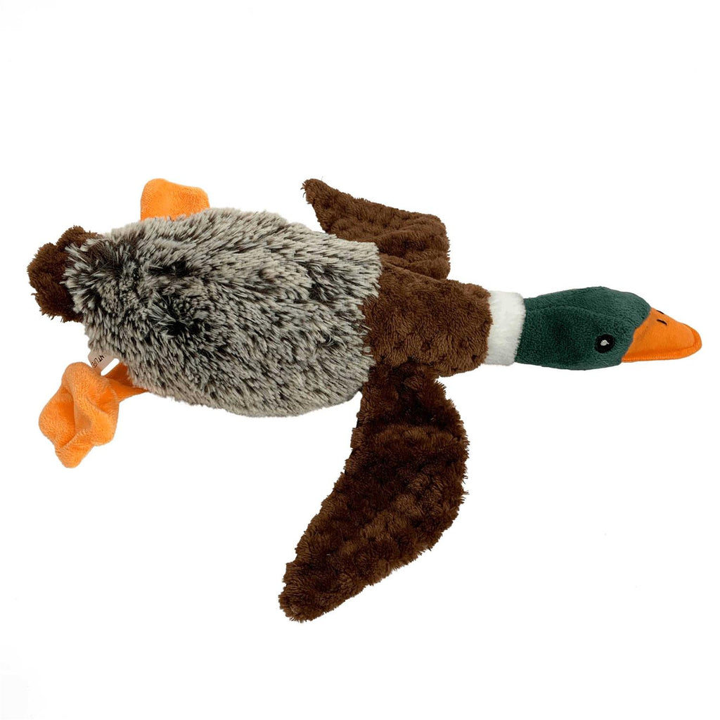 Large Duck Training Toy U795
