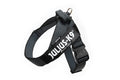 Black Belt Harness C491