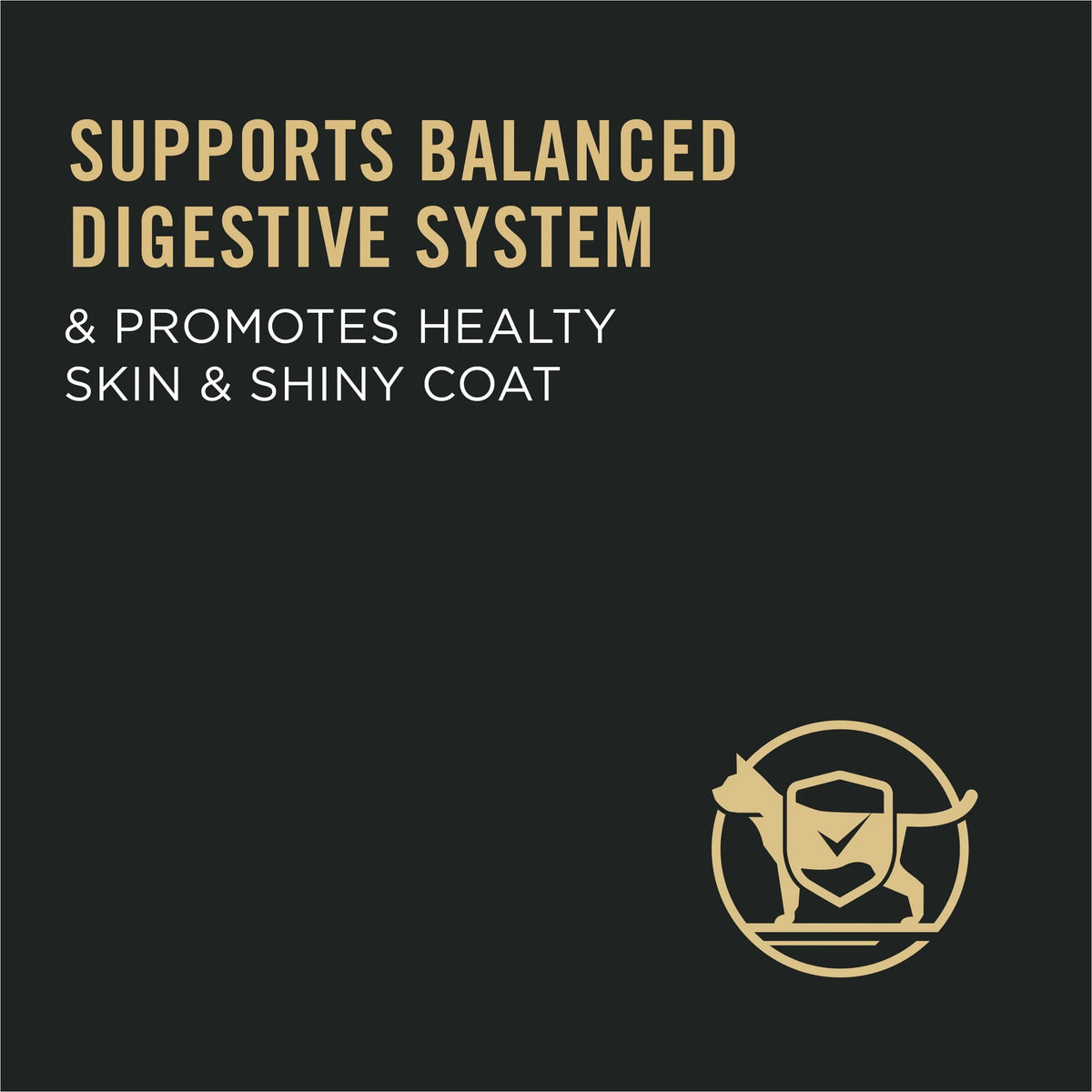 Sensitive Skin & Stomach Dry Cat Food E84314