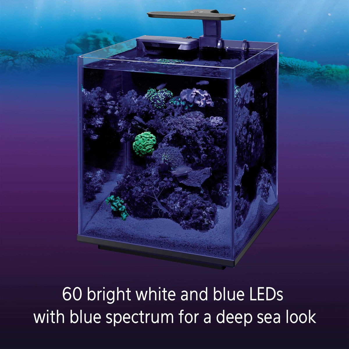 LED Marine Aquarium Clip On Light X9560