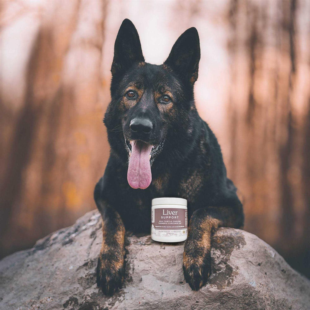 Liver Support for Dogs & Cats O5882