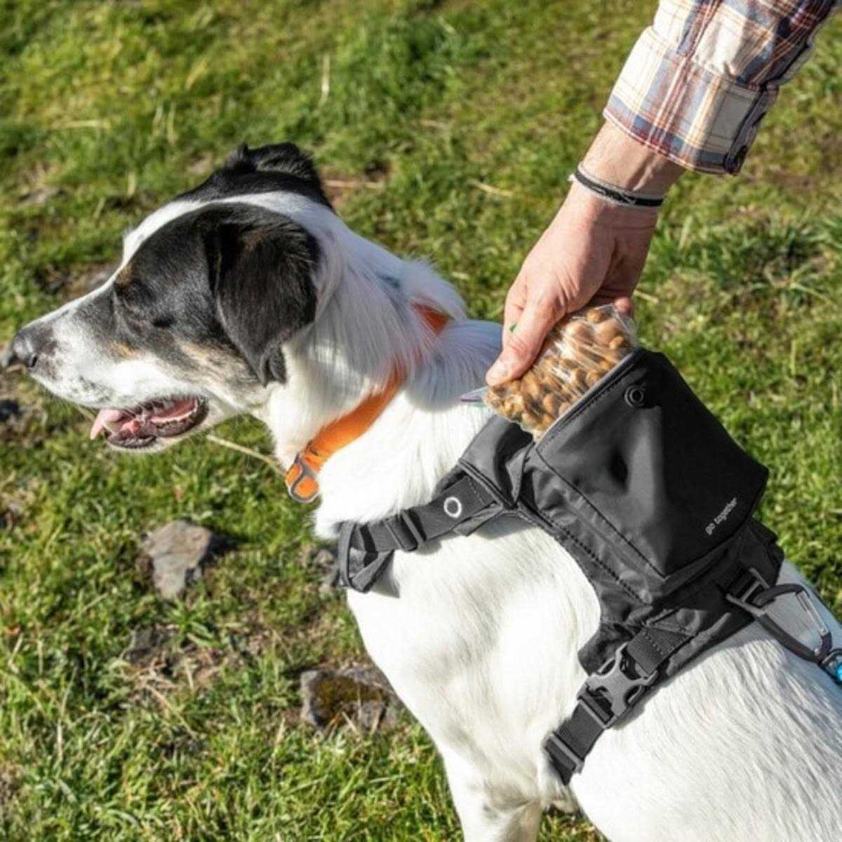 Dog Harness A30056
