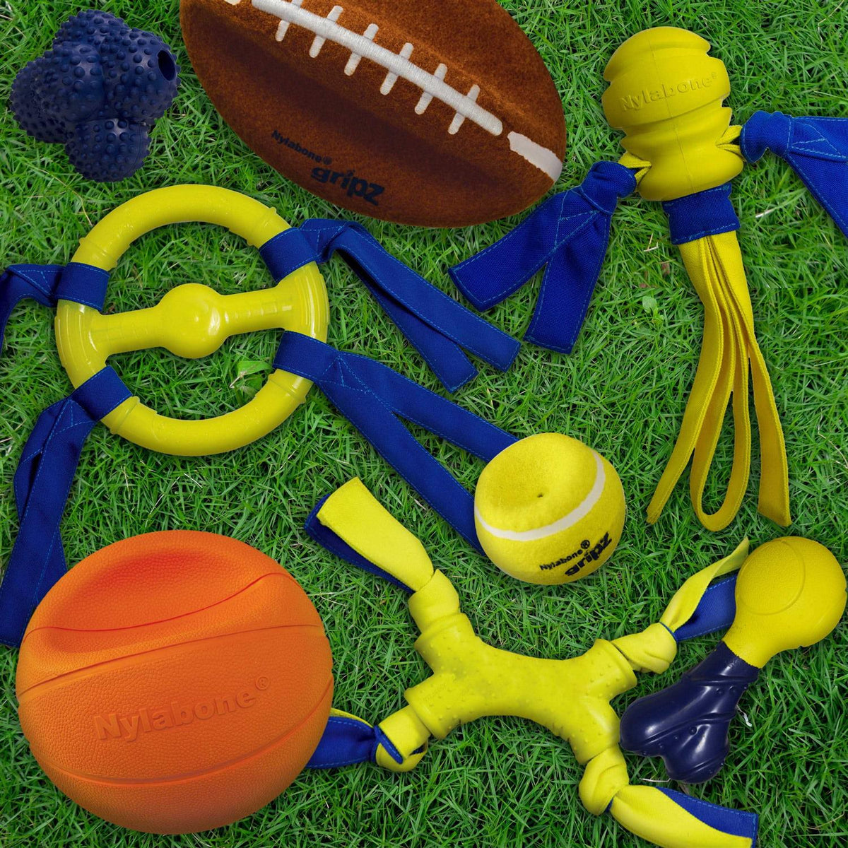 Dog Toy B856