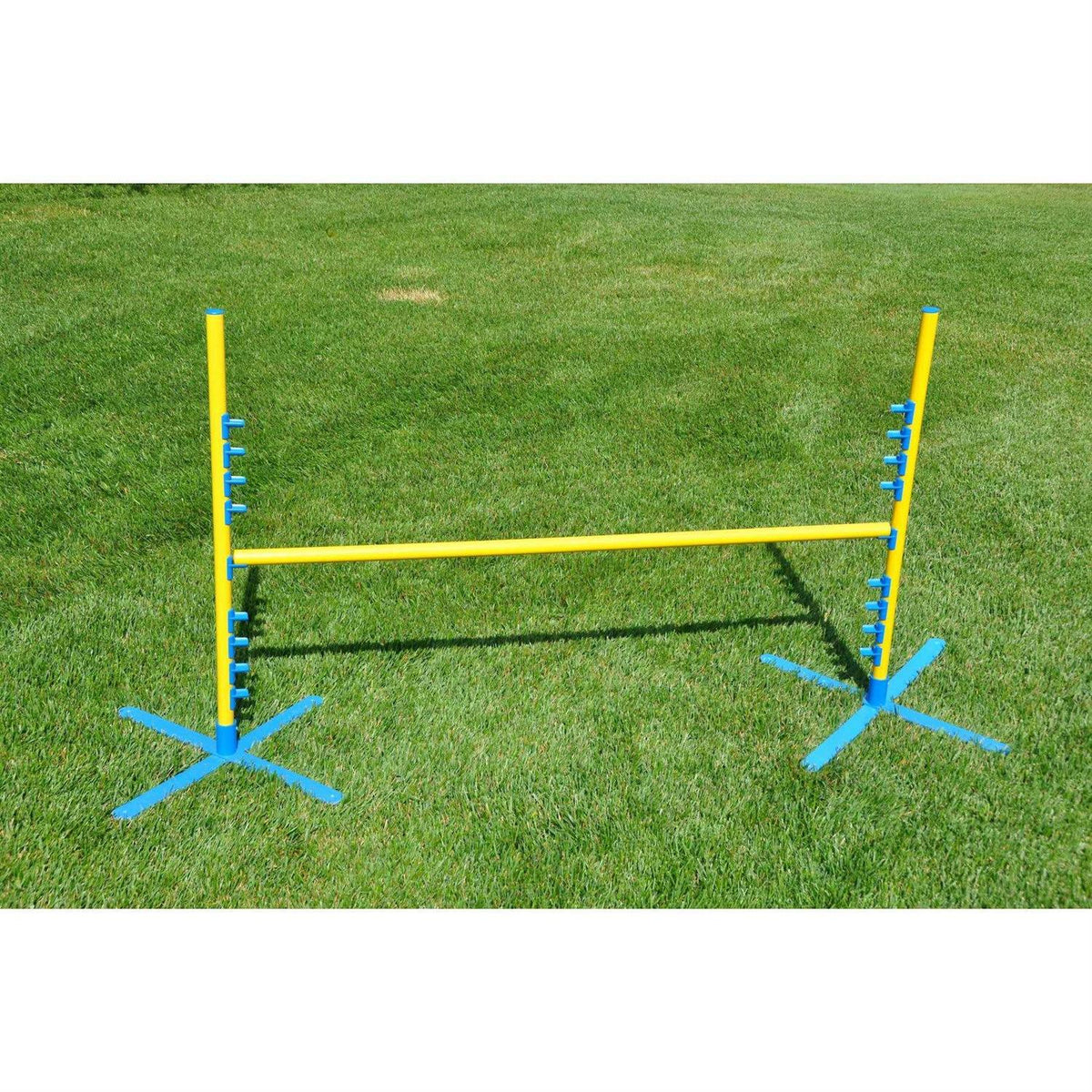 Dog Training Pedestal Jump H7890