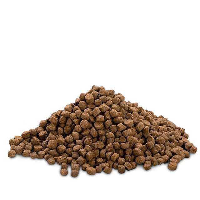 High Protein Low Fat Chicken-Free Lamb Flavor Dog Food Q666