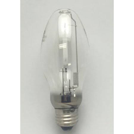 Replacement Bulb 100W E481046