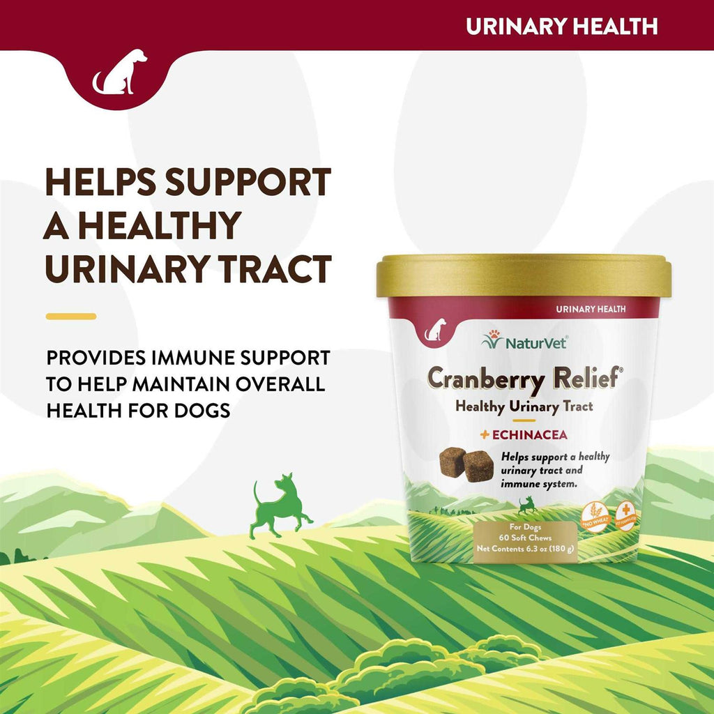Cranberry Relief Plus Echinacea Soft Chews for Dogs E94548