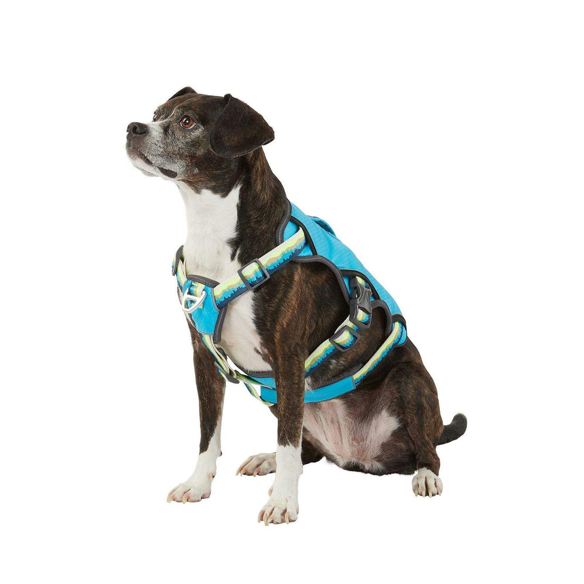 LED Dog Harness C73830