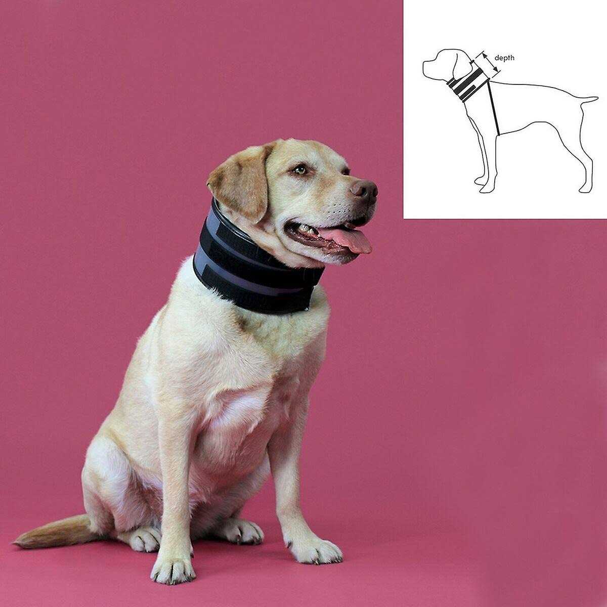 Cervical Collar V9296