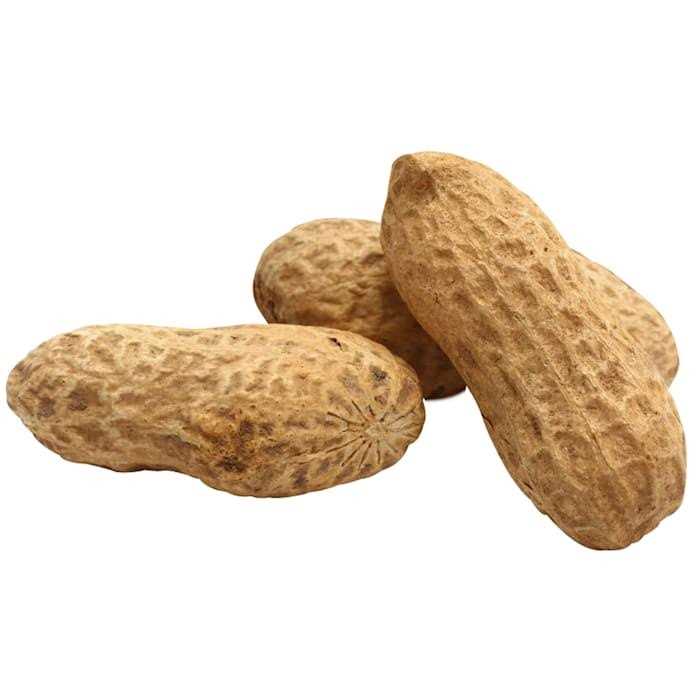 Unsalted In-Shell Whole Peanuts Bird Food D487386