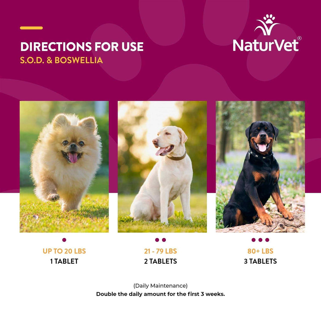 Tablets for Dogs I1561