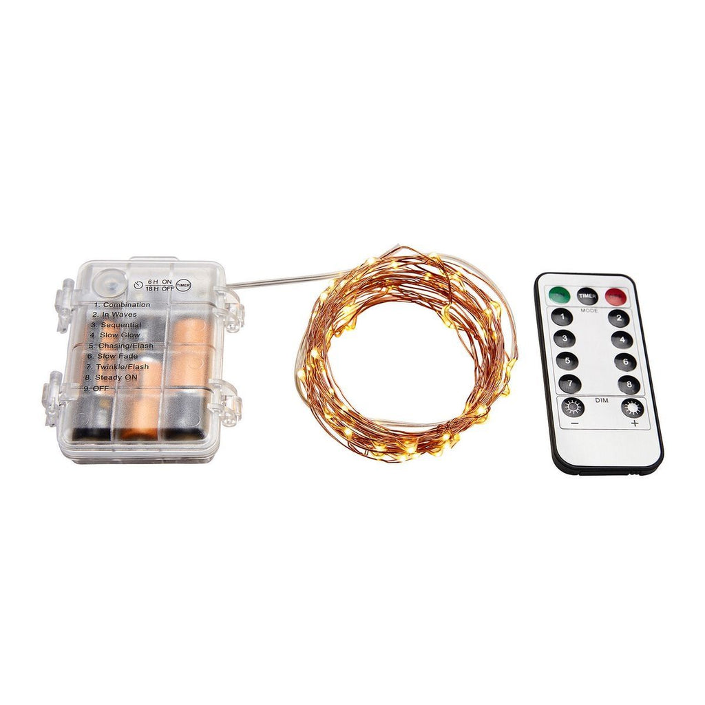 Warm White Copper Wire Lights with Remote L249