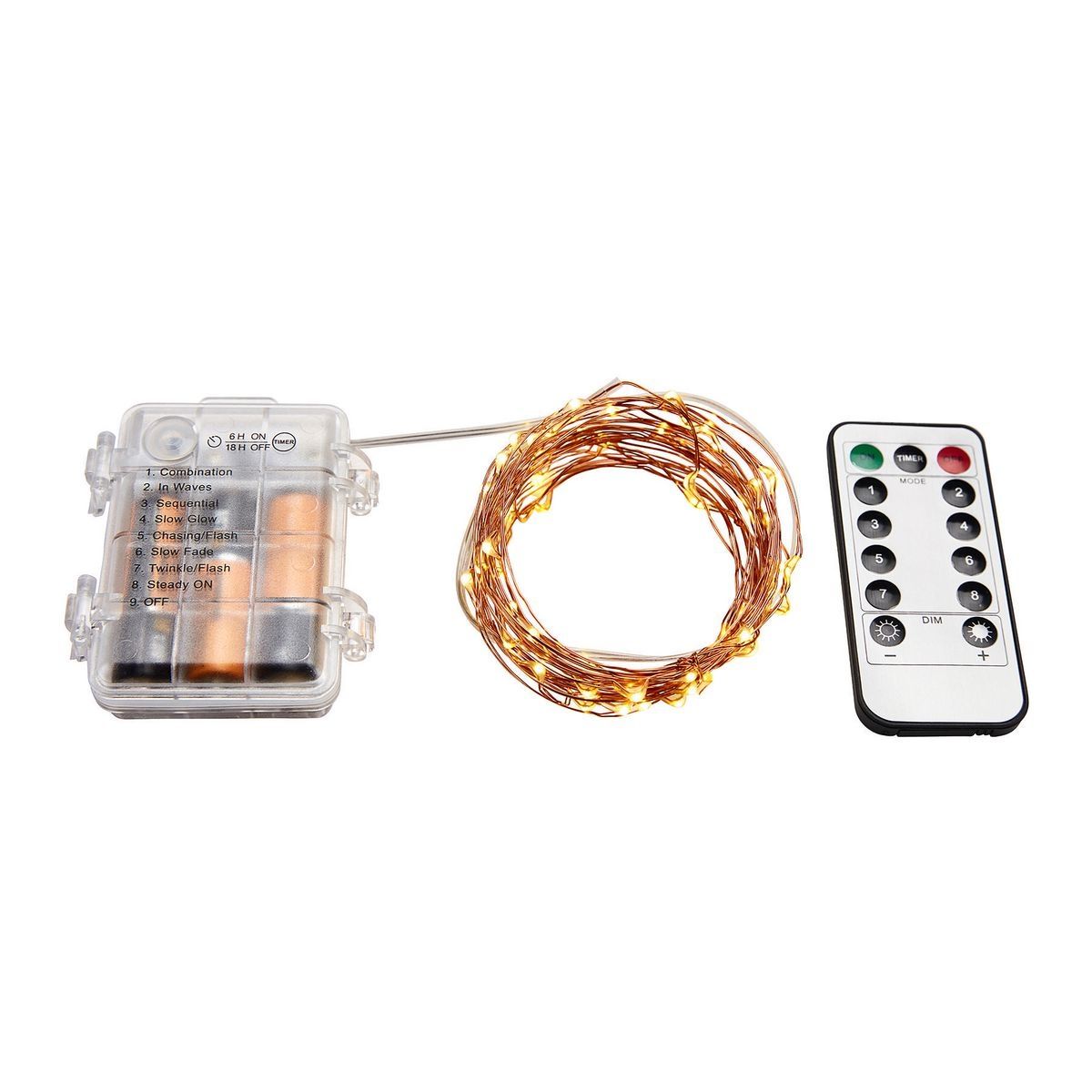 Warm White Copper Wire Lights with Remote L249