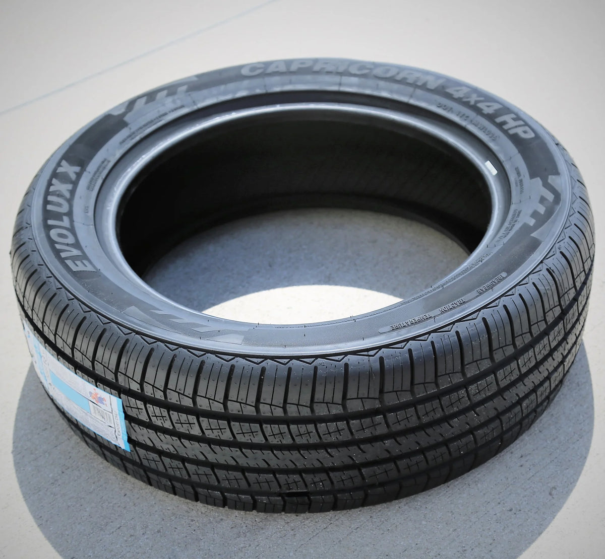 255/60R19 109H Performance Tire D280009