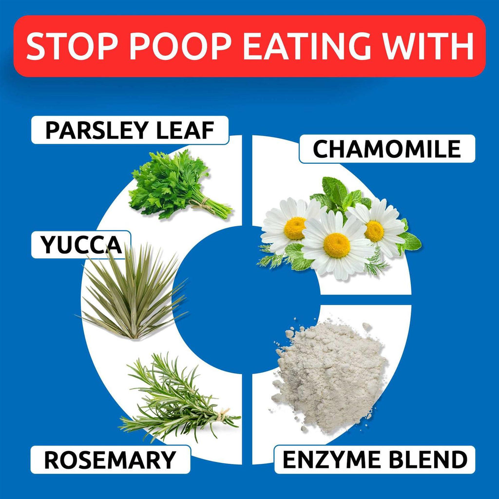 Chew No Poo W459277