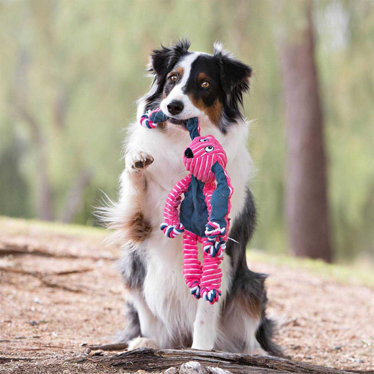 Bunny Dog Toy Y43546